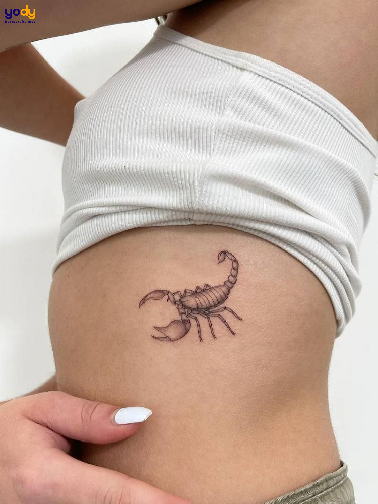 ý nghĩa về hình xăm bọ cạp  Notaati Tattoo