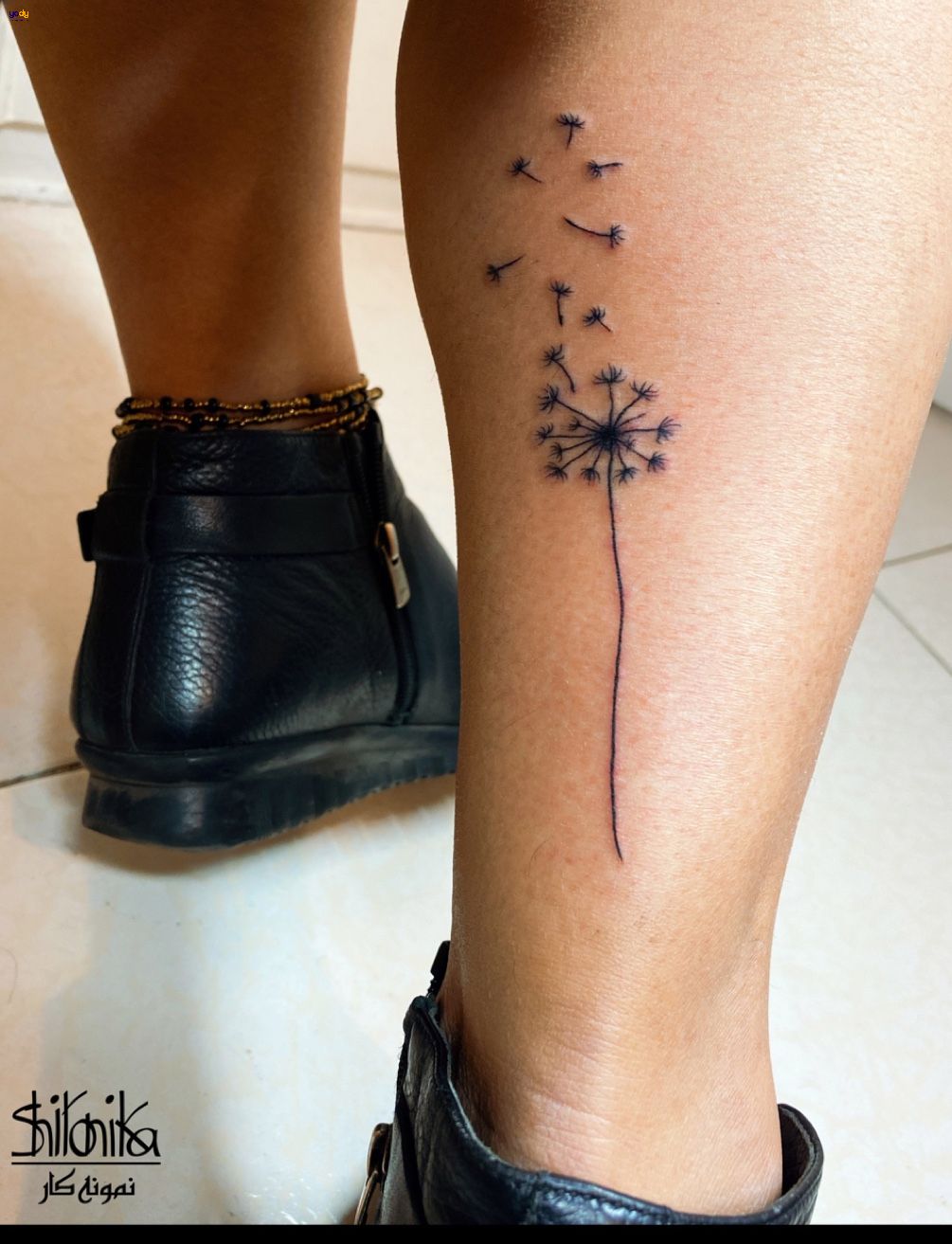 Hình xăm hoa bồ công anh ở vai cho nữ  Tattoo Gà