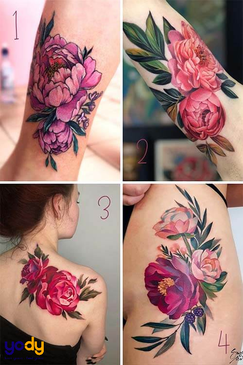 100 mẫu hình xăm hoa hồng đẹp cho cả nam và nữ  Rose Tattoo Designs  Hình  xăm Hình xăm xám Hình xăm ngầu