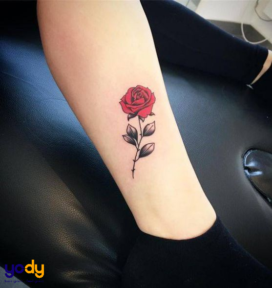 Top 11 Mẫu Tattoo Hình Xăm Hoa Đẹp Ý Nghĩa Nhất Cho Nữ 2023