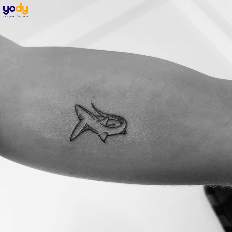 Hình xăm cá mập mini ở bắp tay