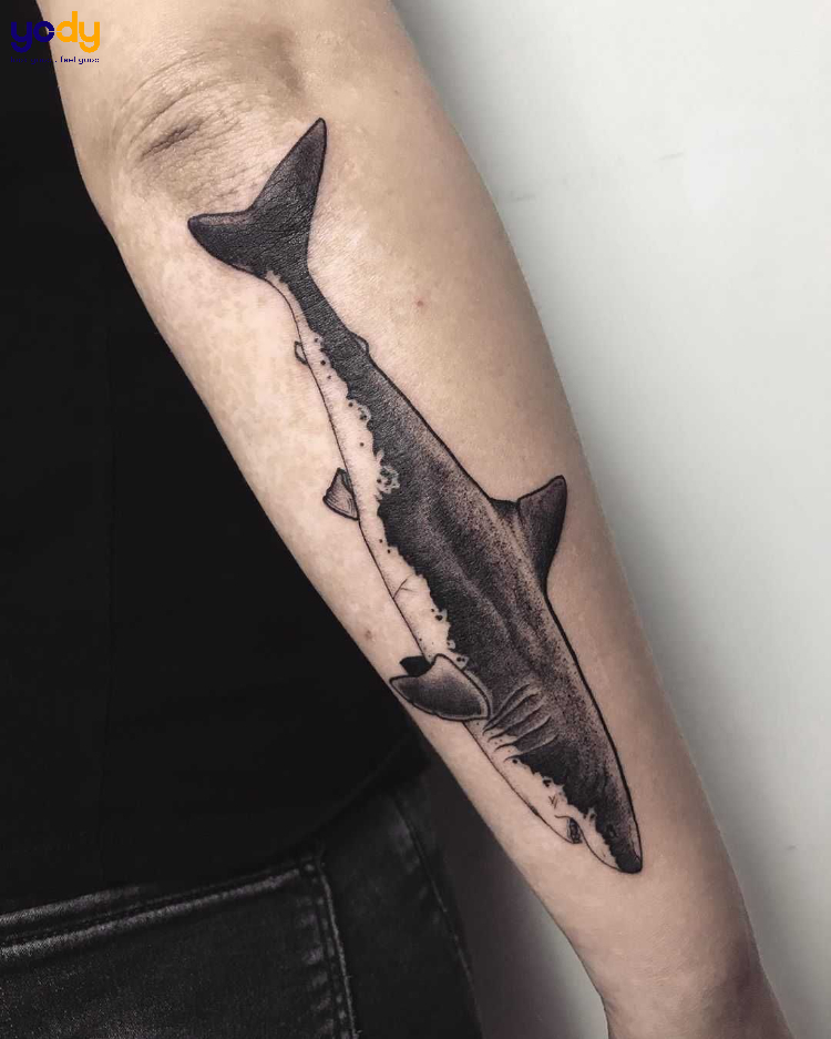 Tattoo cá mập giống thật ở tay