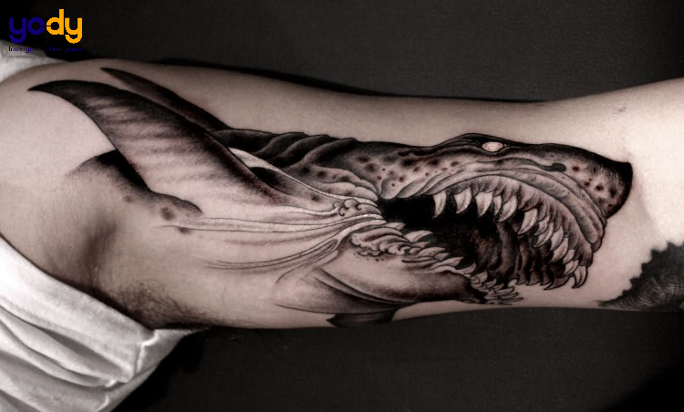 Tattoo cá mập kinh dị