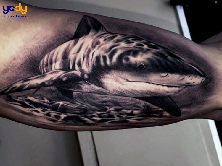 Tattoo cá mập đẹp ở cánh tay