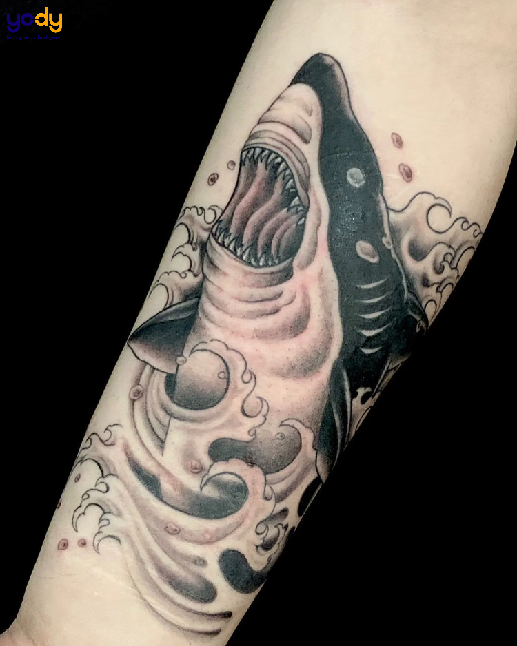 Tattoo cá mập phong cách cá tính
