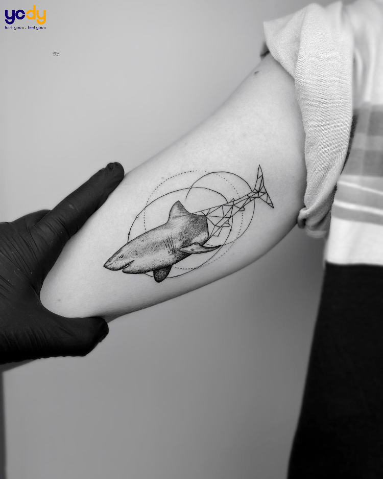 Tattoo cá mập nghệ thuật