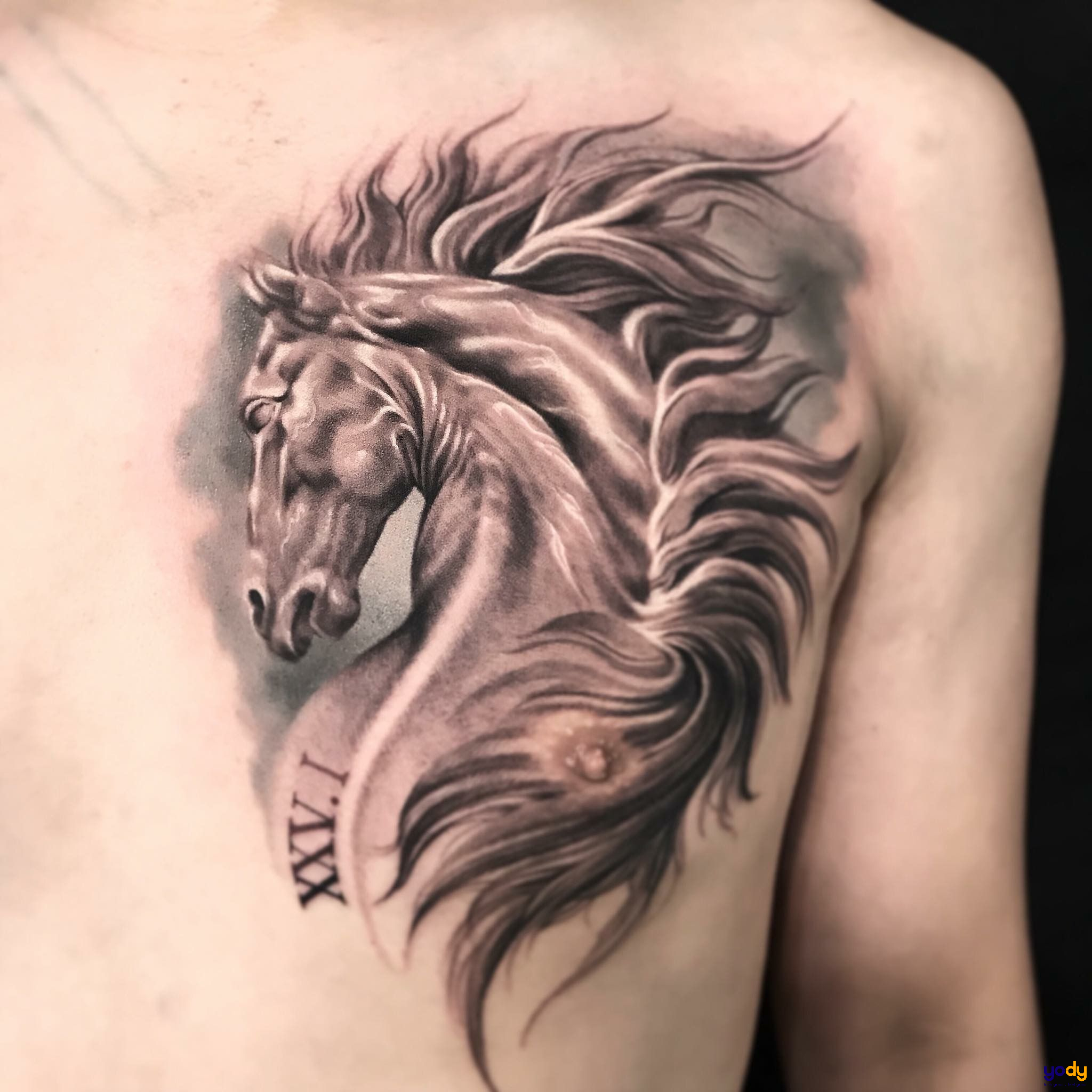 Hình xăm con ngựa chất