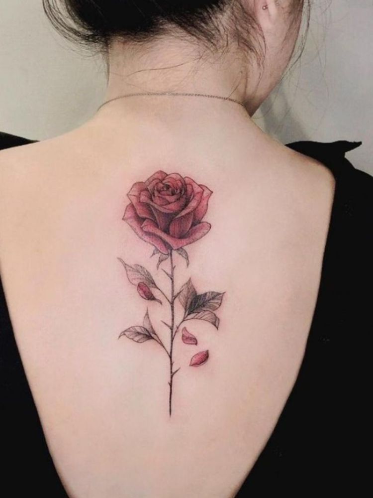 Hình xăm hoa hồng ở lưng