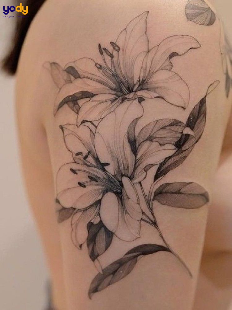 HÌNH XĂM HOA LILY TATTOO FLOWER LILY   Hãy đến với Shop  Flickr