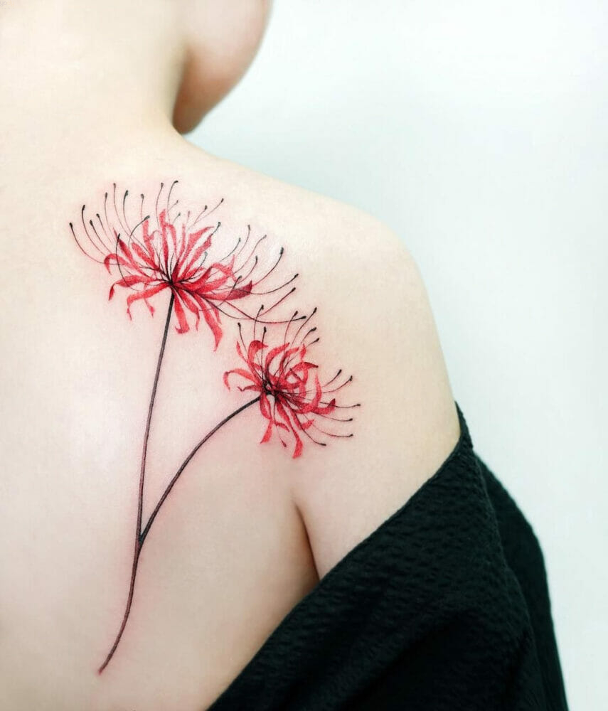 50+ Mẫu Hình Xăm Hoa Bỉ Ngạn Đẹp Nhất Với Ý Nghĩa Sâu Xa