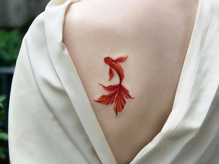 Hình xăm cá chép nhỏ