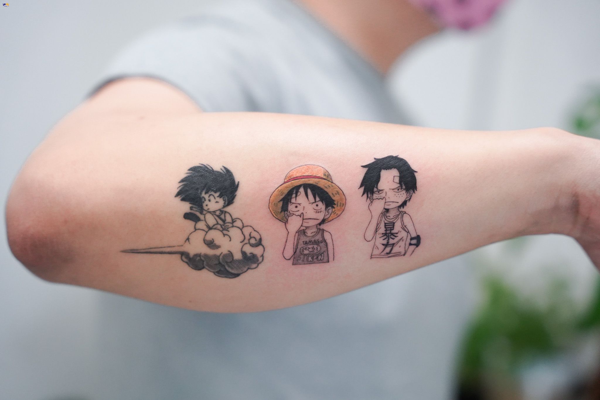 Tổng hợp Hình Xăm Luffy giá rẻ bán chạy tháng 82023  BeeCost