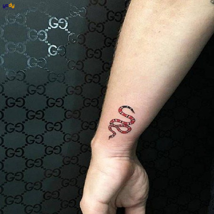 Hình Xăm Con Rắn Đẹp Nhất Cho Nam Nữ  Tattoo Rắn