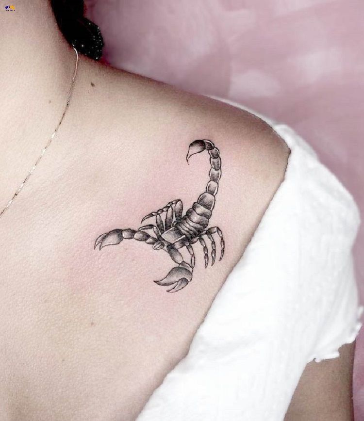 Hình xăm vai bò cạp nữ đẹp nhất