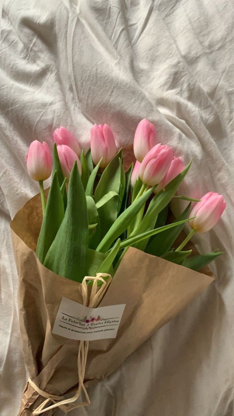 Tulip - Hoa tặng mẹ được nhiều người lựa chọn