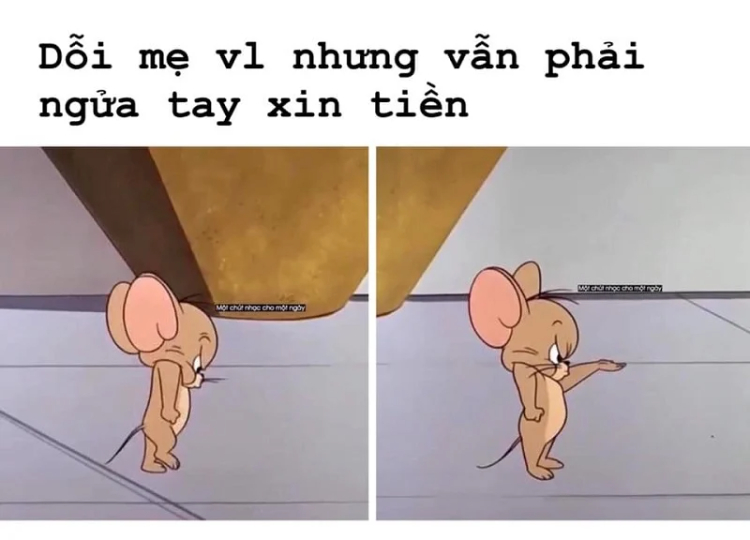 ảnh meme jerry dễ thương