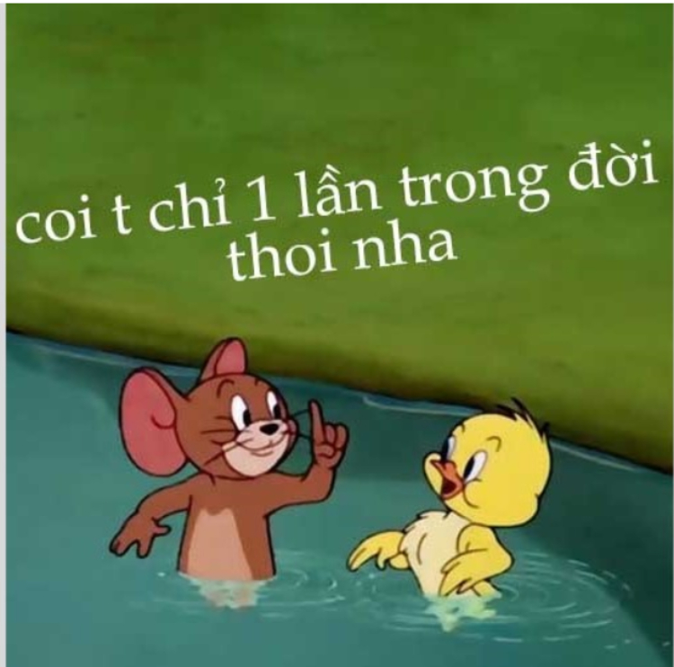 Jerry memeĐể lại bình luận về bức ảnh