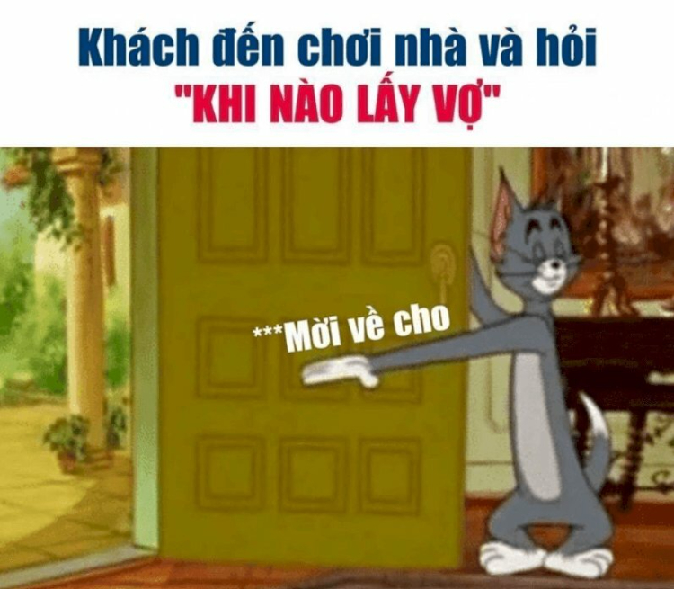 meme mèo tom troll ảnh