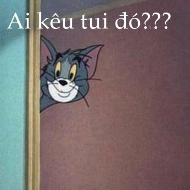 Funny Tôm Cat Memes Ảnh