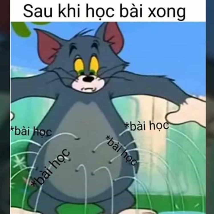 Hình ảnh meme mèo tôm độc đáo