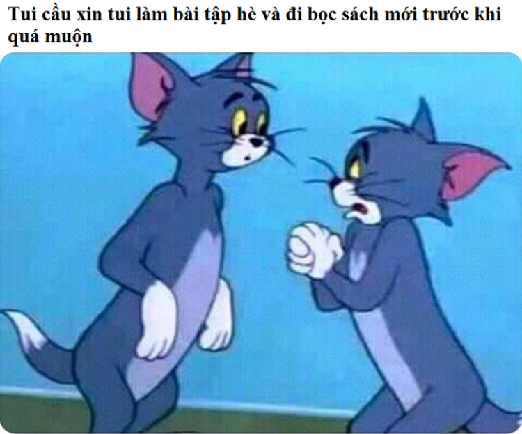 meme mèo tom biết nói photo