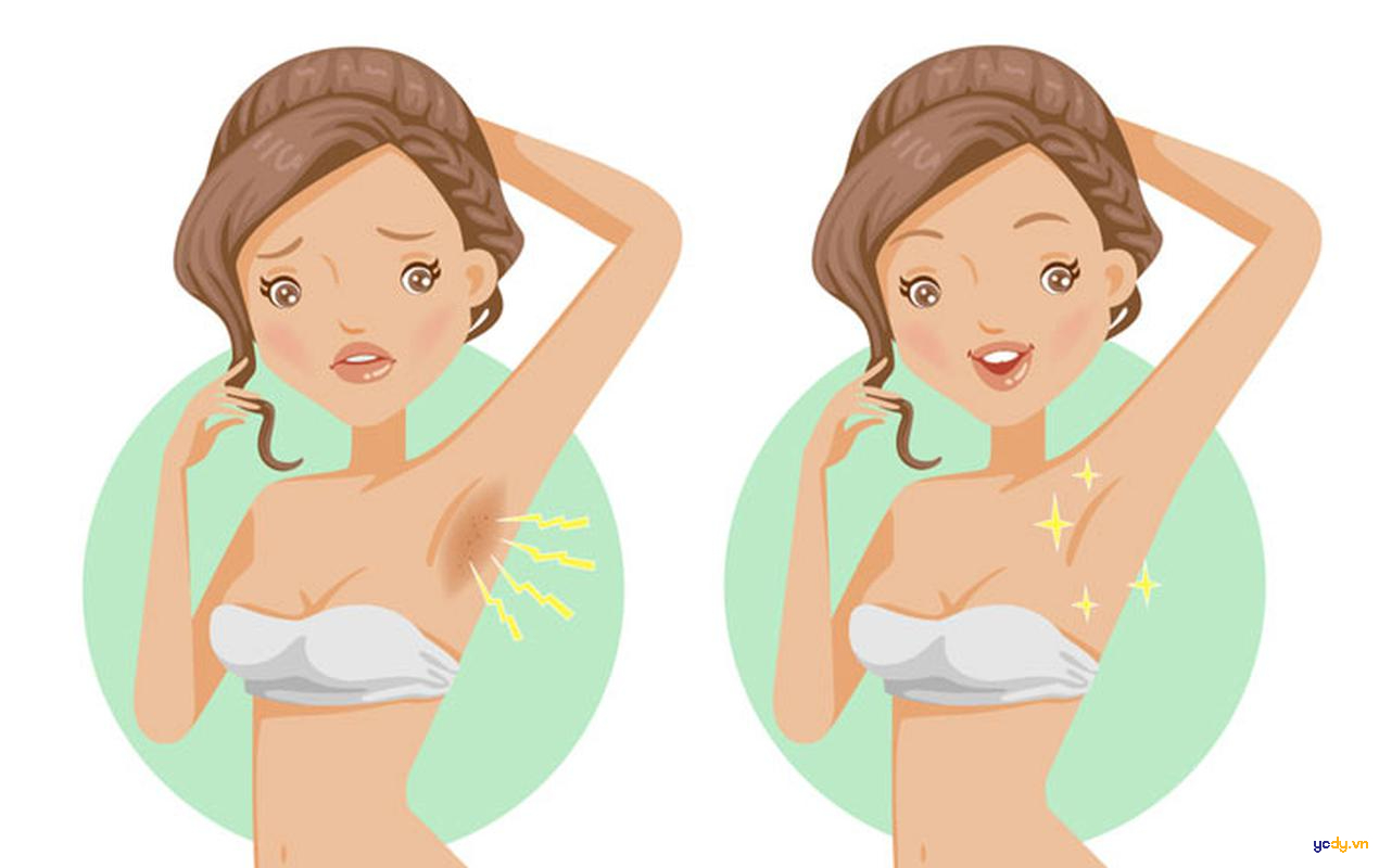 Tham khảo ý kiến người dùng