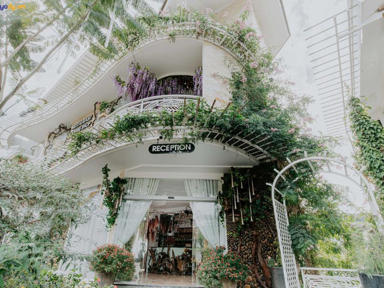 Cách đặt khách sạn Đà Lạt view đẹp giá rẻ