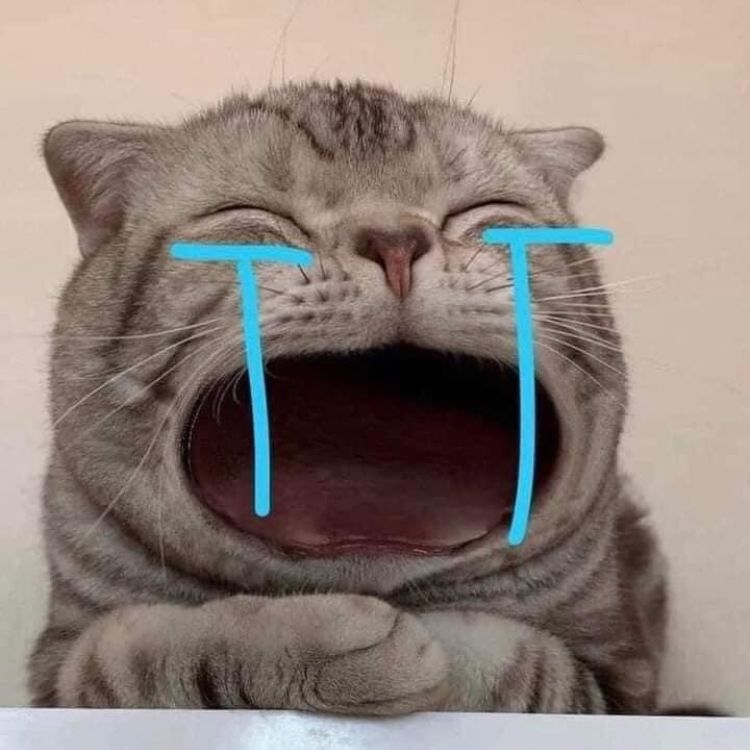 gói biểu cảm mèo khóc