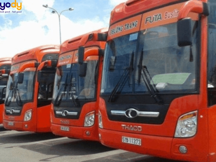 Xe khách đến Mũi Nai