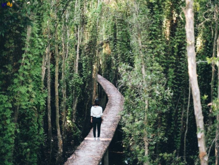 Khu du lịch sinh thái Cần Giờ