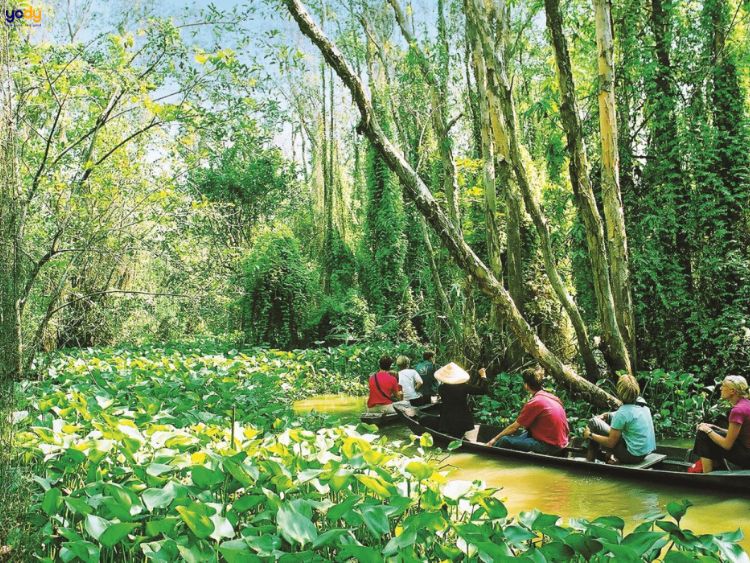 Khu du lịch sinh thái Gáo Giồng