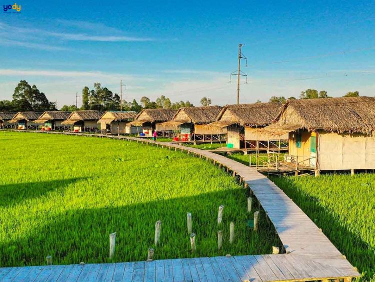 khu du lịch sinh thái mỹ phước thành