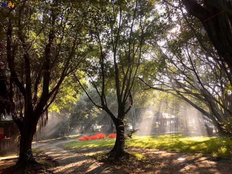 Khu du lịch sinh thái Bò Cạp Vàng
