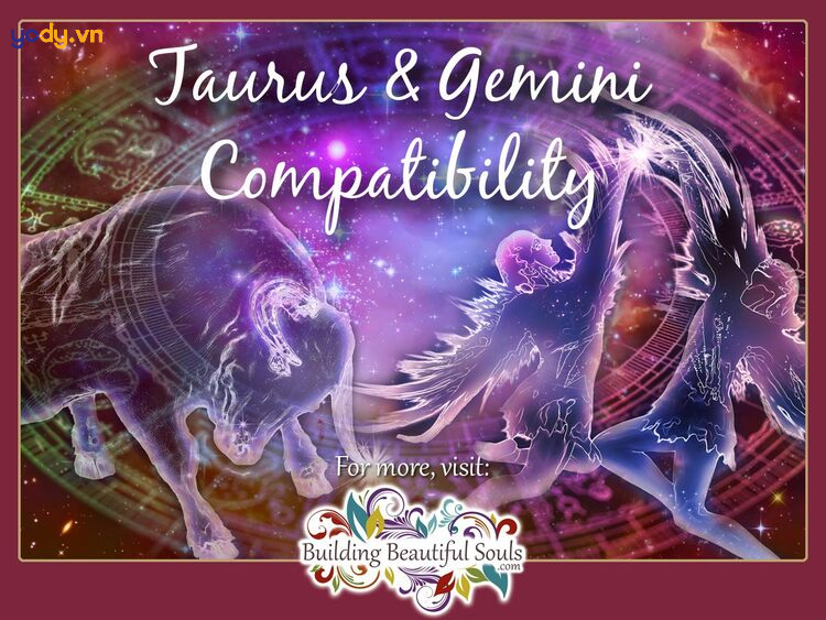 cung hoàng đạo kim ngưu ghét cung nào nhất