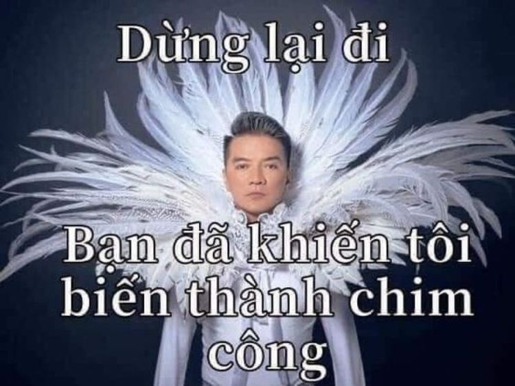 Dừng lại đi, bạn đã khiến tôi biến thành chim công