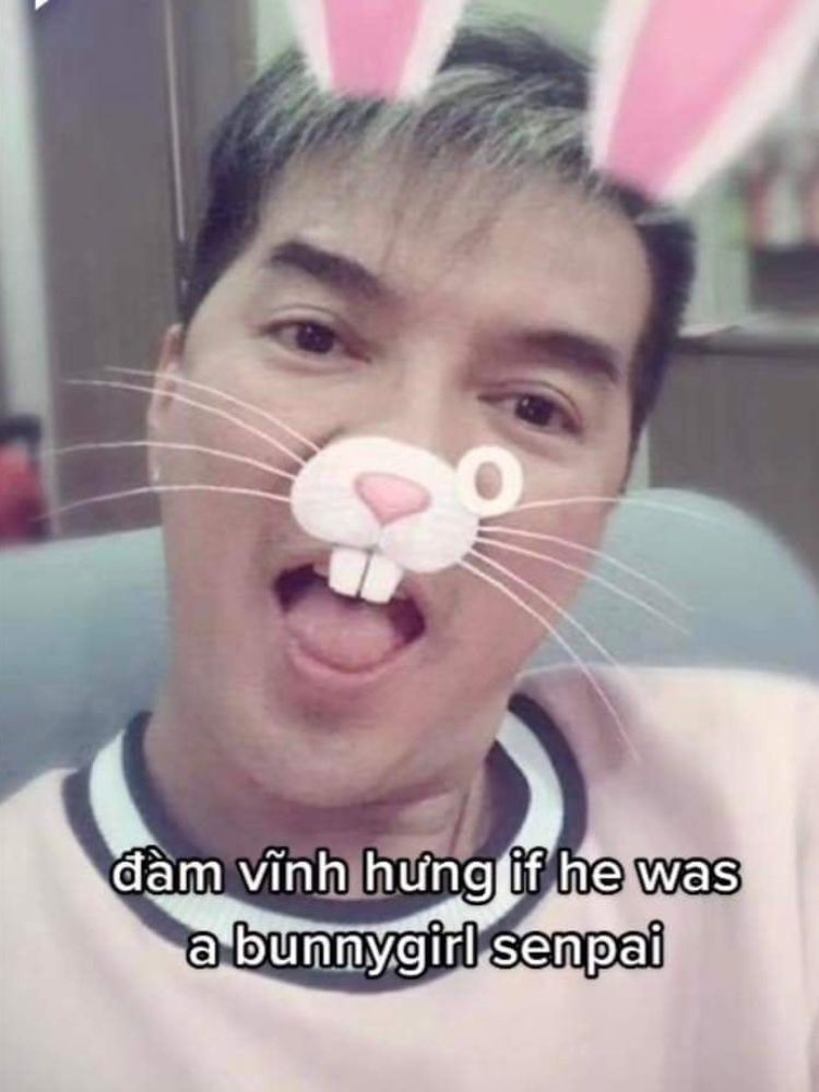 Đàm vĩnh hưng meme