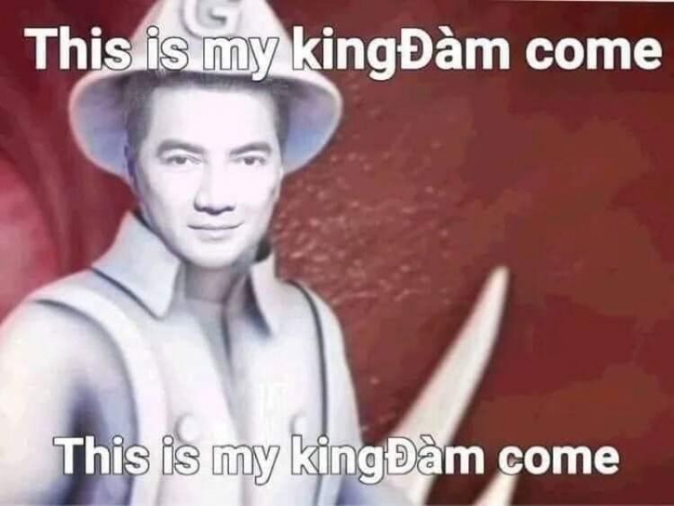 This is my king Đàm come
