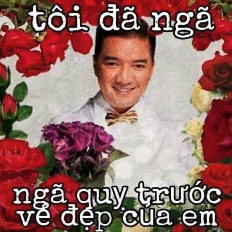 Tôi đã ngã quỵ trước vẻ đẹp của em