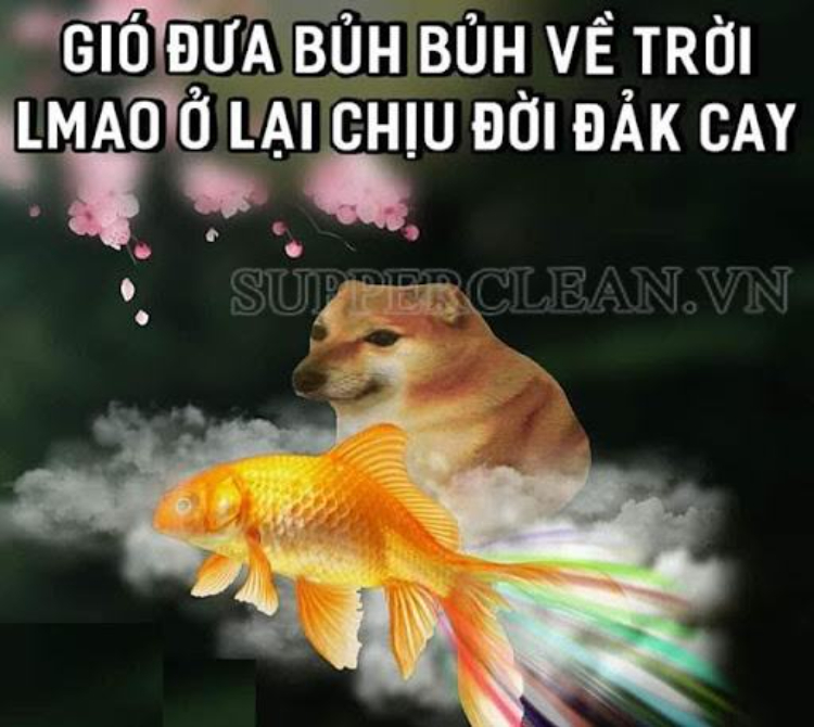 Thơ Meme Ảnh Lmao