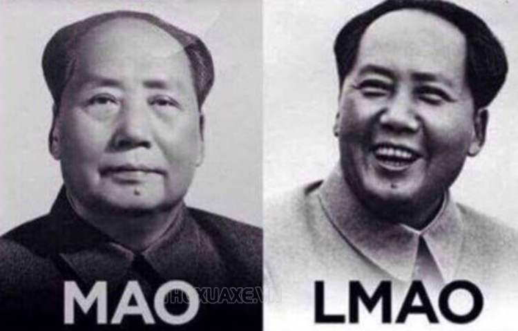 Ảnh túi biểu cảm của Mao Trạch Đông