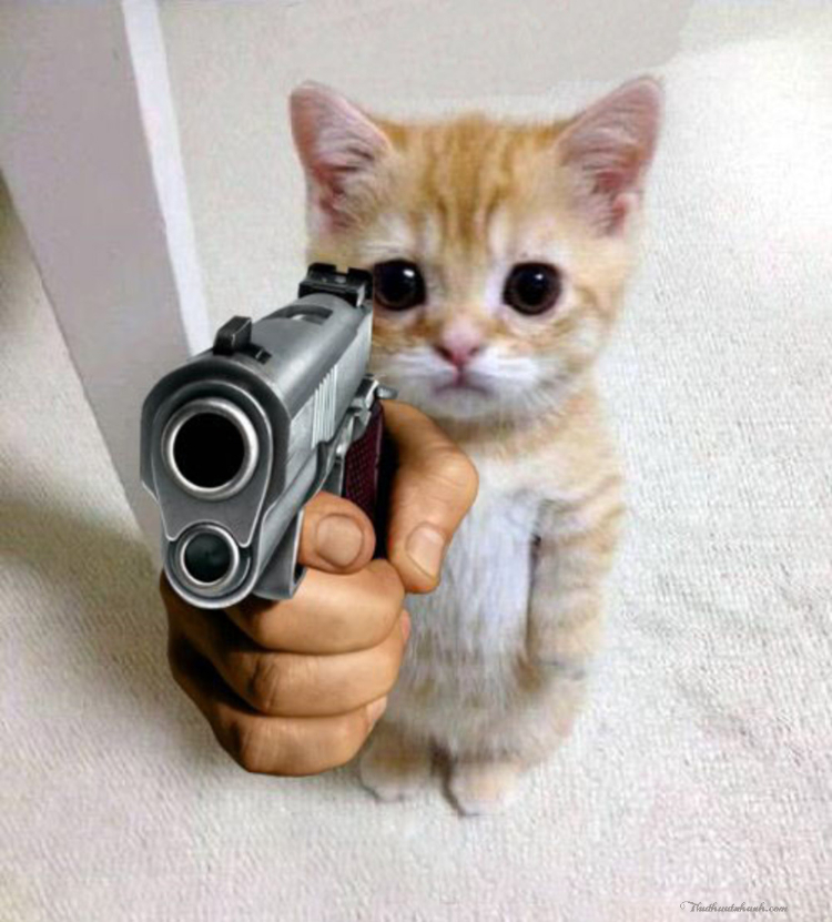 Một biểu tượng cảm xúc con mèo với một khẩu súng