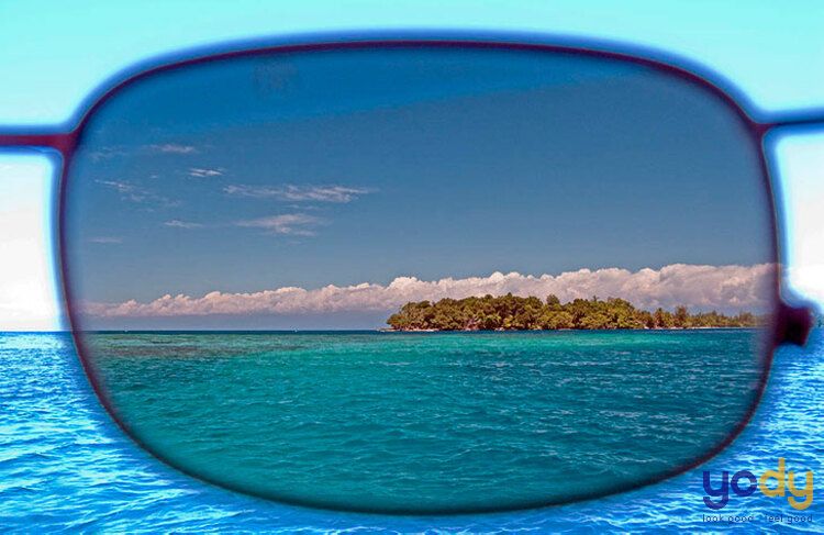 Mắt kính phân cực polarized