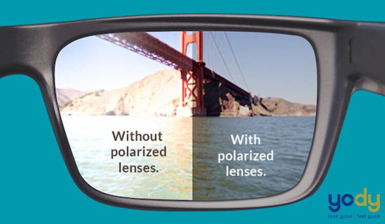 Mắt kính phân cực polarized