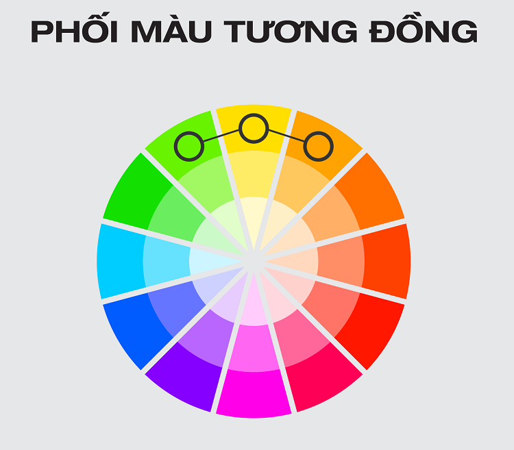 màu nóng màu lạnh bảng màu phối đồ