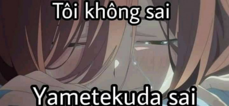 Khám phá: Tổng hợp 99+ ảnh meme anime chế cực độc đáo và hài hước, , Khám phá