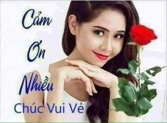 meme cảm ơn