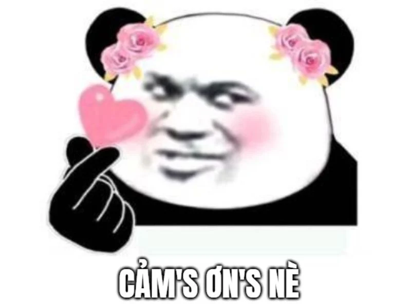 meme cảm ơn