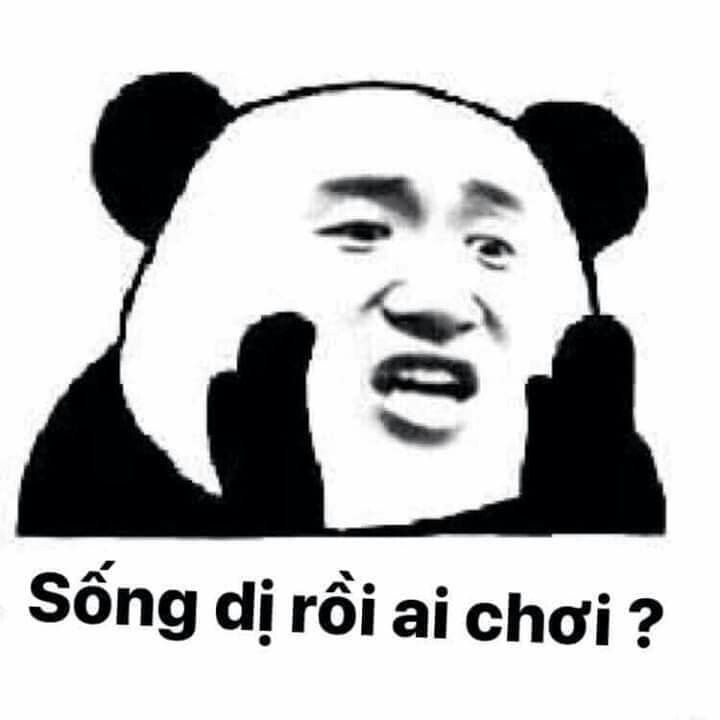 meme hài bựa