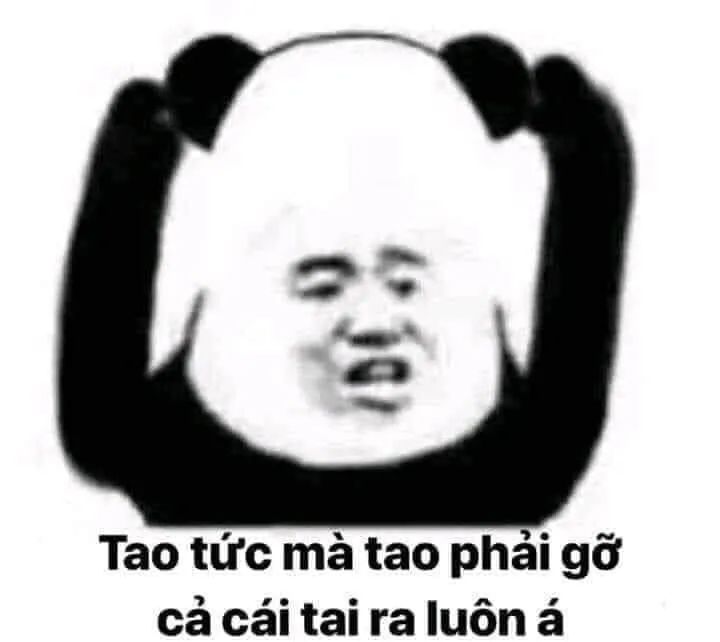 meme hài bựa