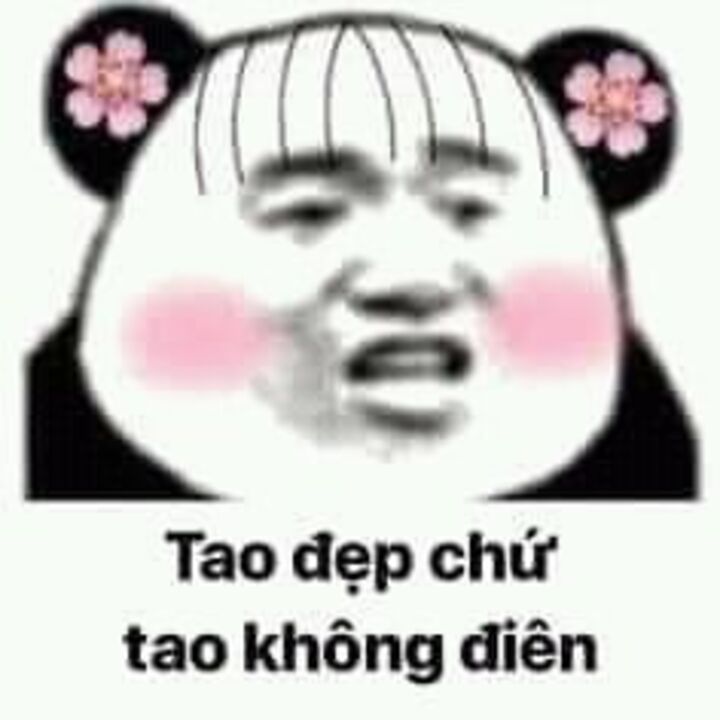 meme hài bựa